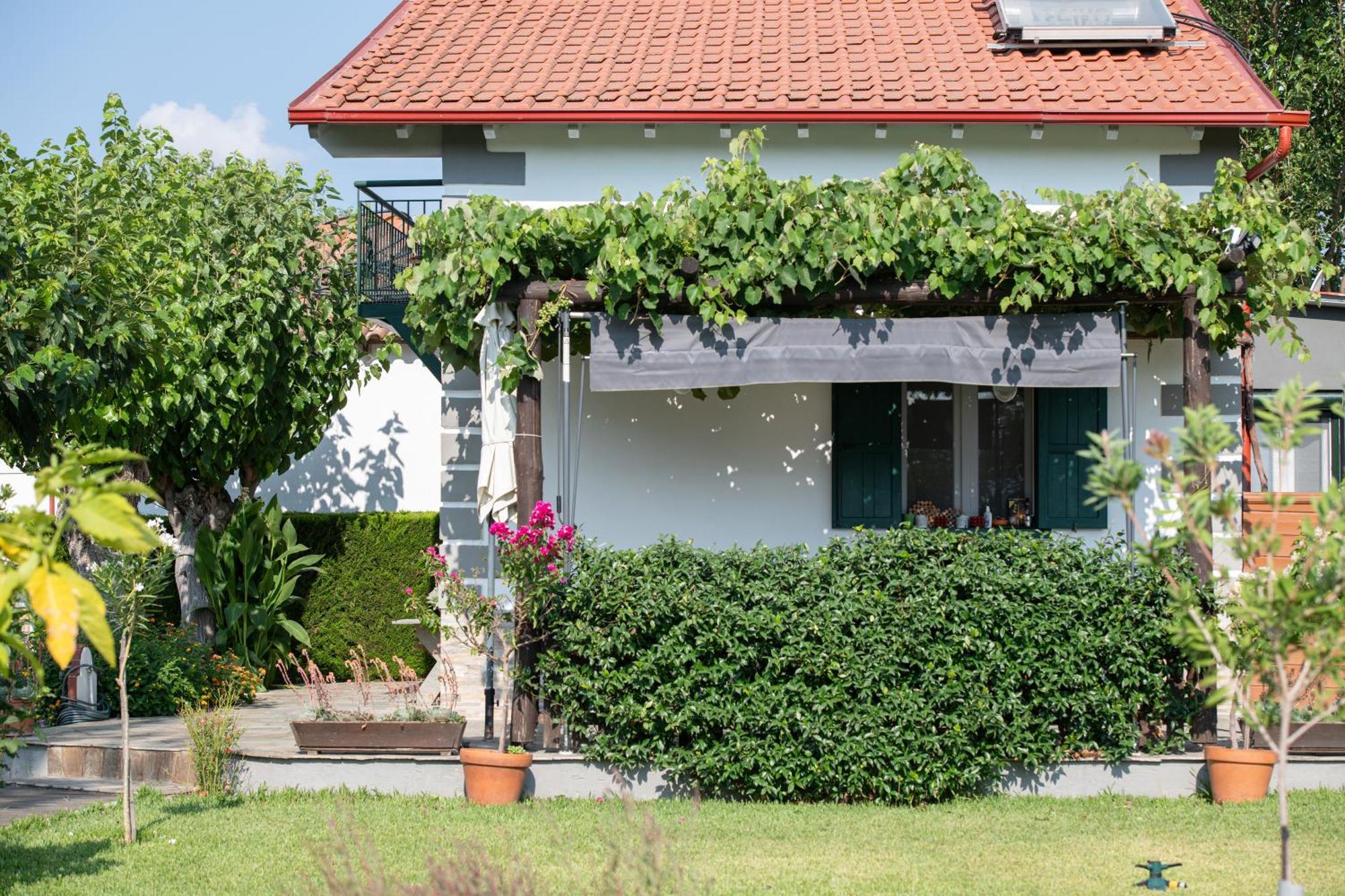 Pratsas House Case de vacanță Sykia Chalkidikis