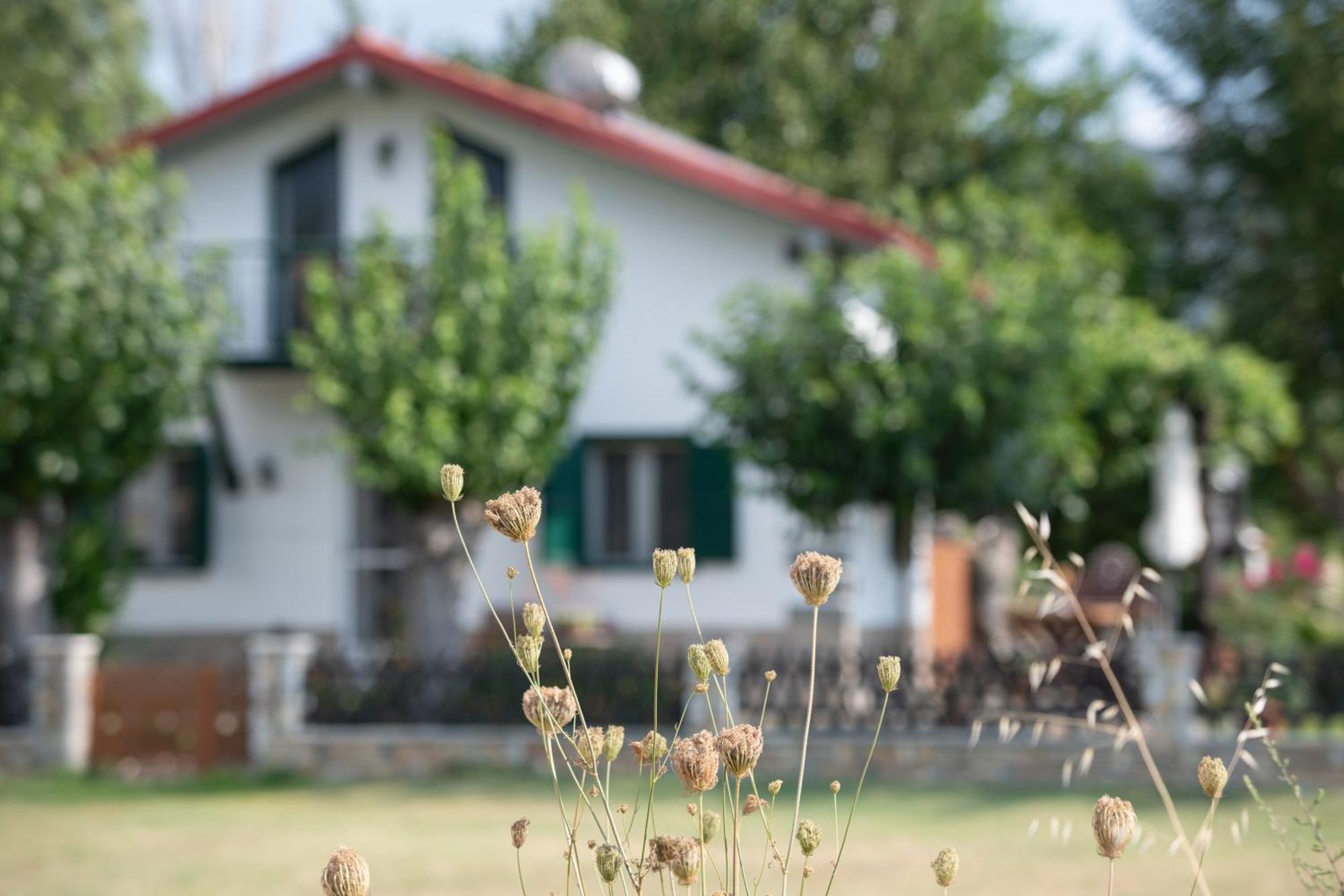 Holiday home Pratsas House Sykia Chalkidikis