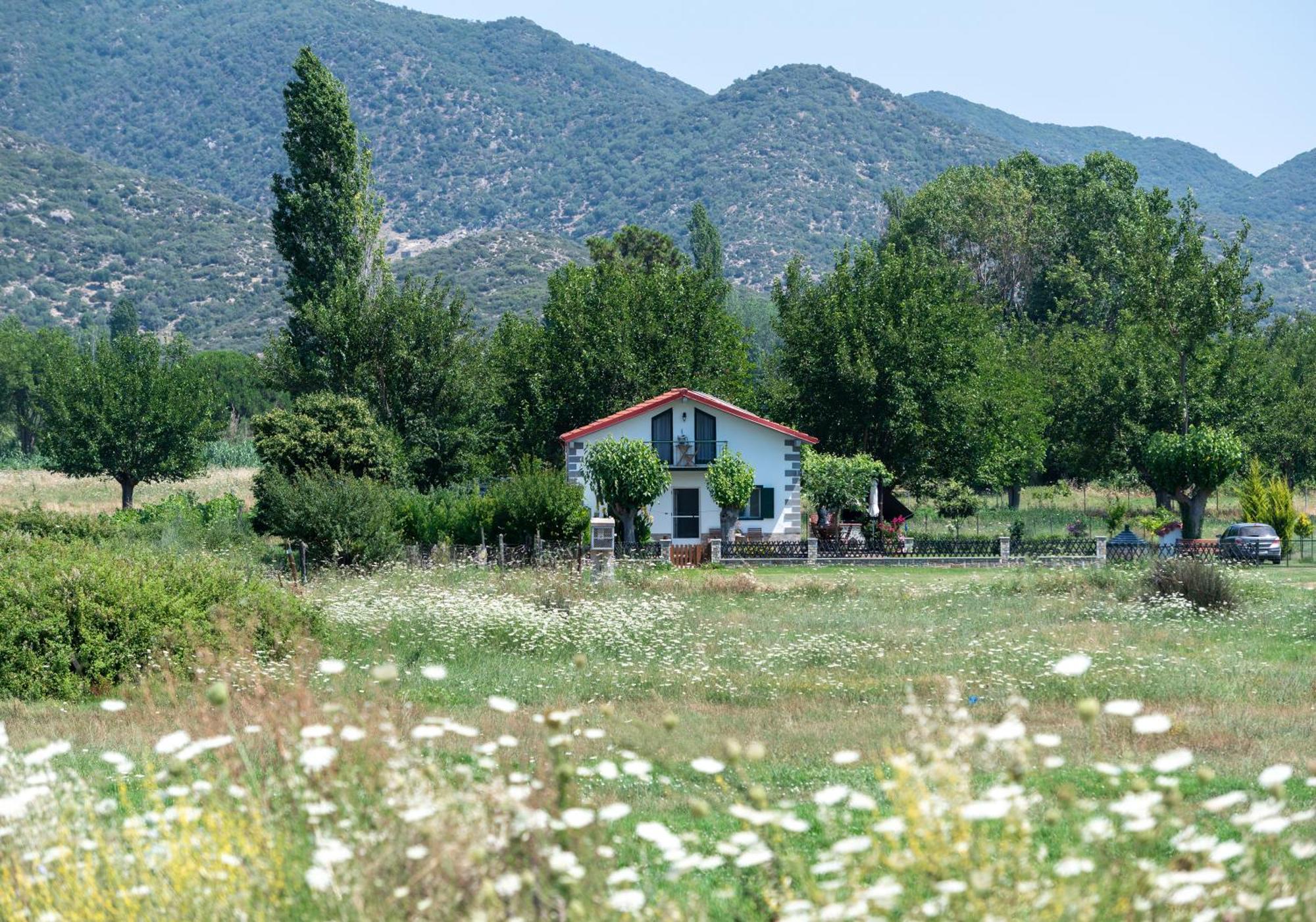 Pratsas House Holiday home Sykia Chalkidikis