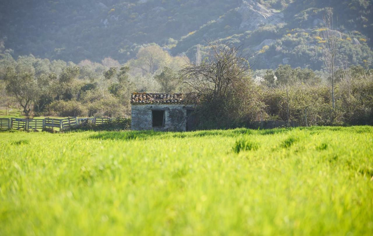 Pratsas House Sykia Chalkidikis